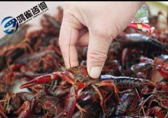 食品經(jīng)營許可證和食品流通許可證的關(guān)系必須要知道